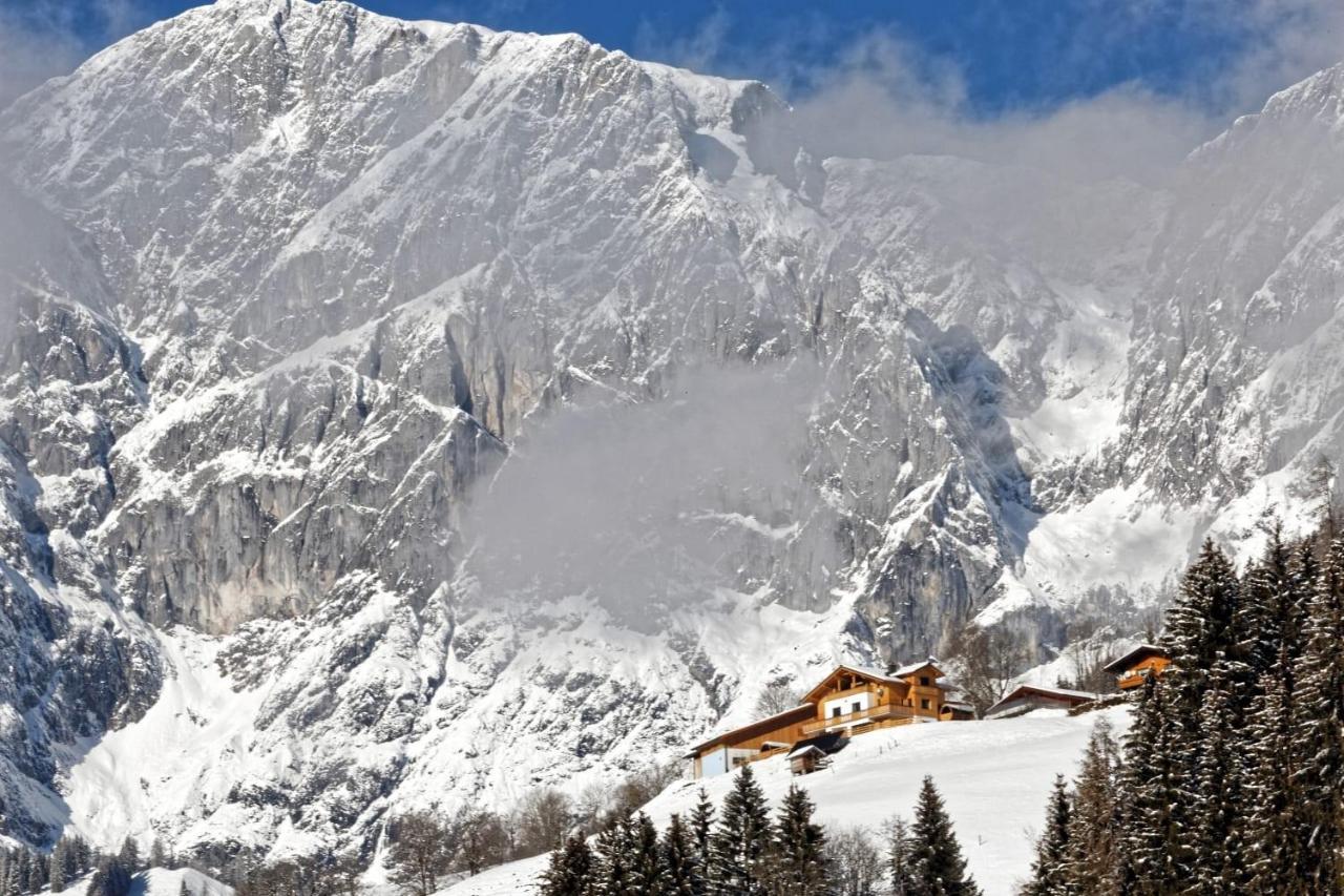 Gut Stein Panoramalodge Mühlbach am Hochkönig المظهر الخارجي الصورة