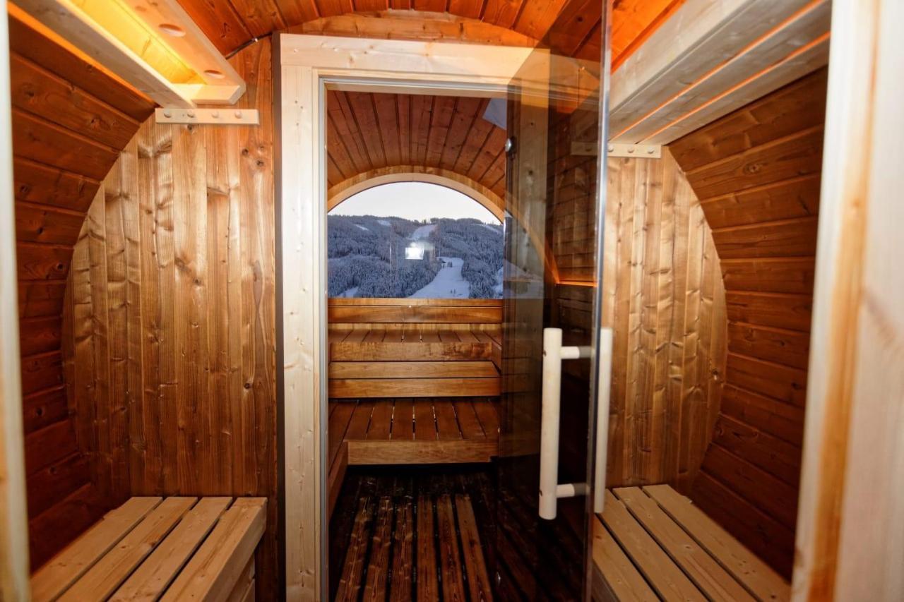 Gut Stein Panoramalodge Mühlbach am Hochkönig المظهر الخارجي الصورة