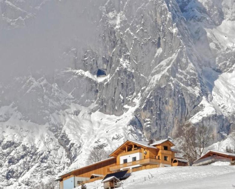 Gut Stein Panoramalodge Mühlbach am Hochkönig المظهر الخارجي الصورة