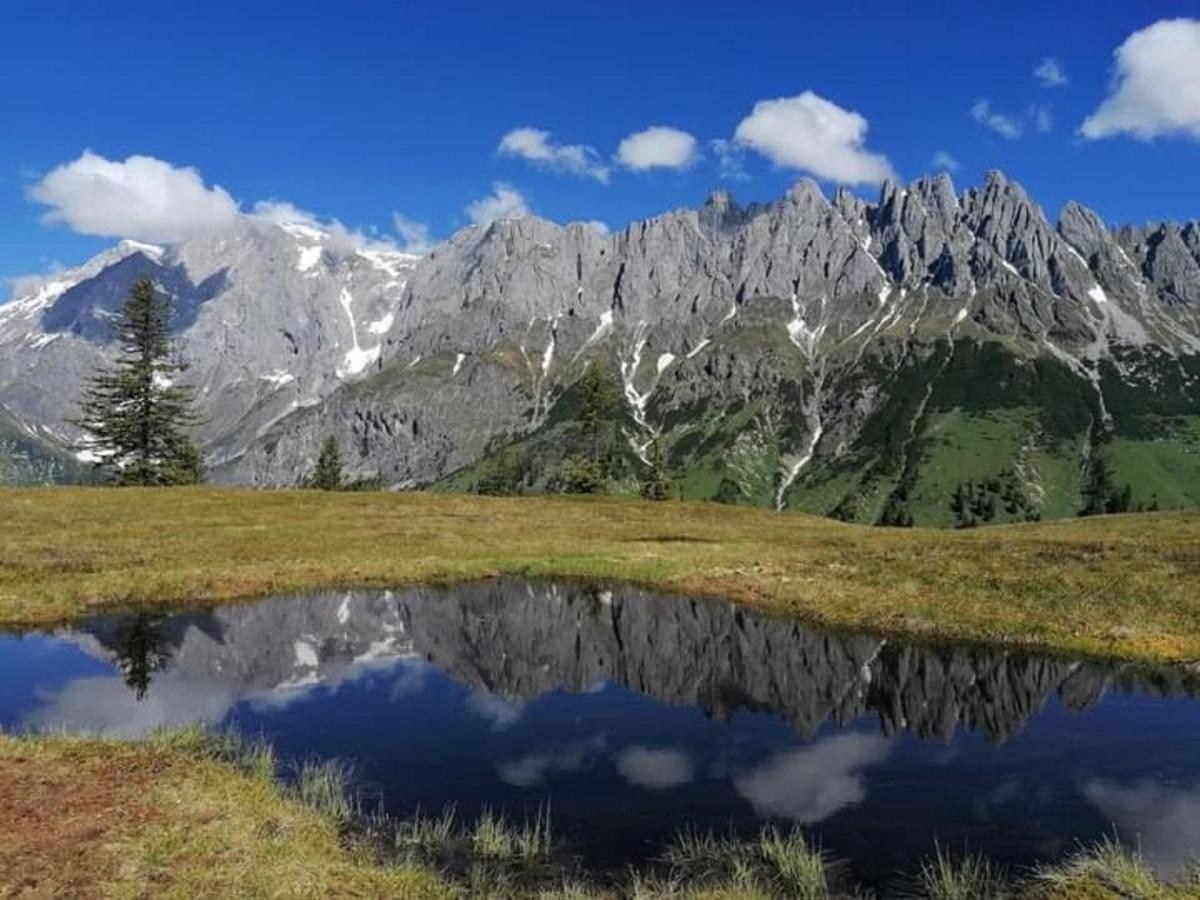 Gut Stein Panoramalodge Mühlbach am Hochkönig المظهر الخارجي الصورة