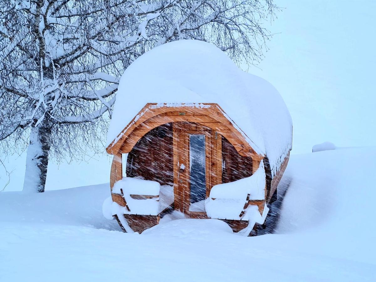 Gut Stein Panoramalodge Mühlbach am Hochkönig المظهر الخارجي الصورة