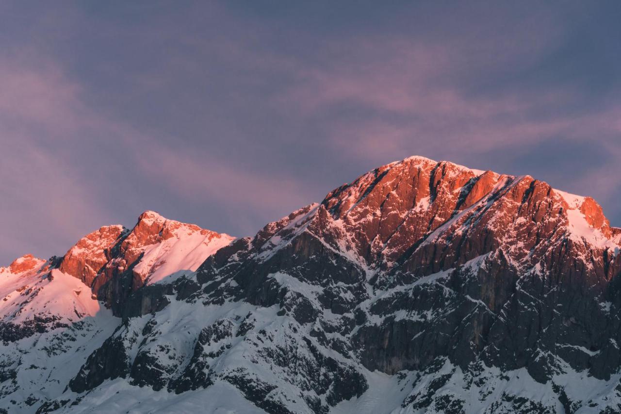 Gut Stein Panoramalodge Mühlbach am Hochkönig المظهر الخارجي الصورة