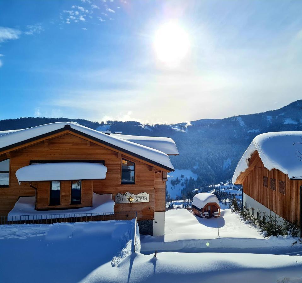 Gut Stein Panoramalodge Mühlbach am Hochkönig المظهر الخارجي الصورة